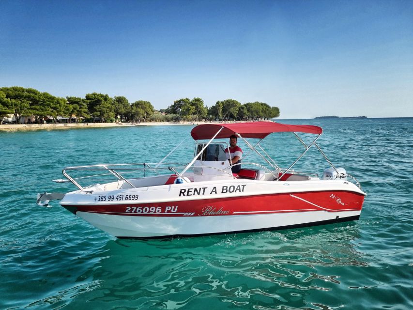 From Fazana: Private sunset dolphin tour - What to bring and what not to wear