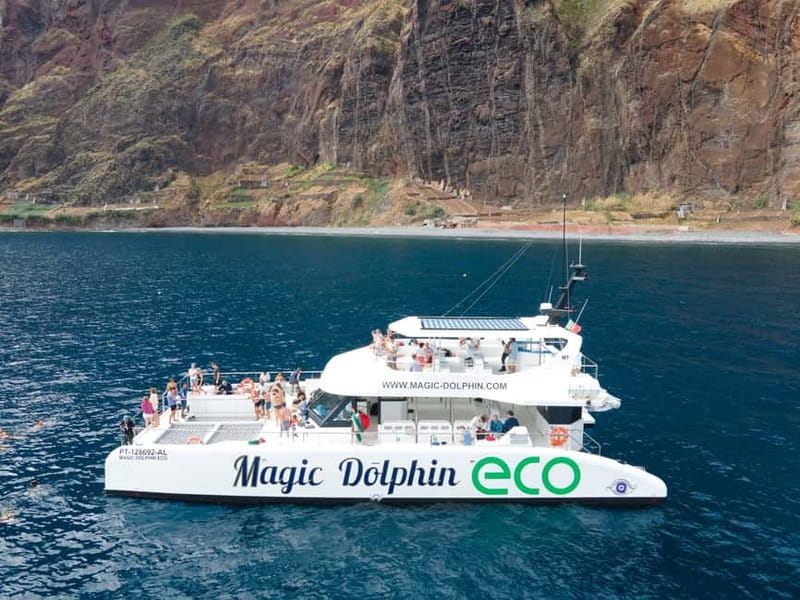 From Funchal: Ecological Catamaran Dolphin Whale Watching - A quiet way to search Madeira’s southern waters