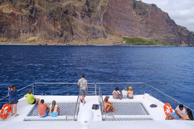 From Funchal: Ecological Catamaran Dolphin Whale Watching - Dolphins, pilot whales, and the luck factor