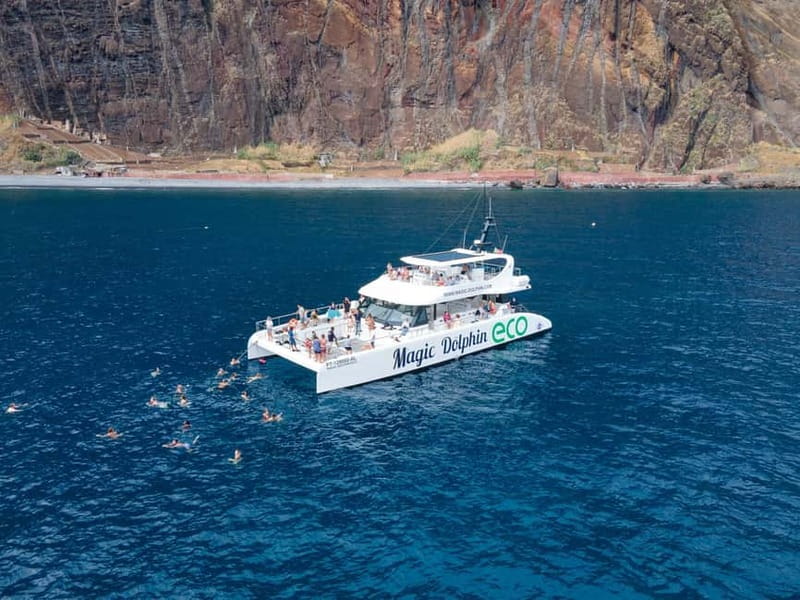 From Funchal: Ecological Catamaran Dolphin Whale Watching - Who will enjoy this boat trip most?