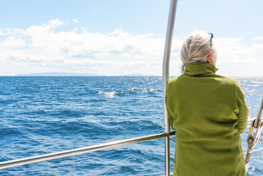 From Funchal: Madeira Dolphin and Whale Watching Tour - Cabo Girão from below