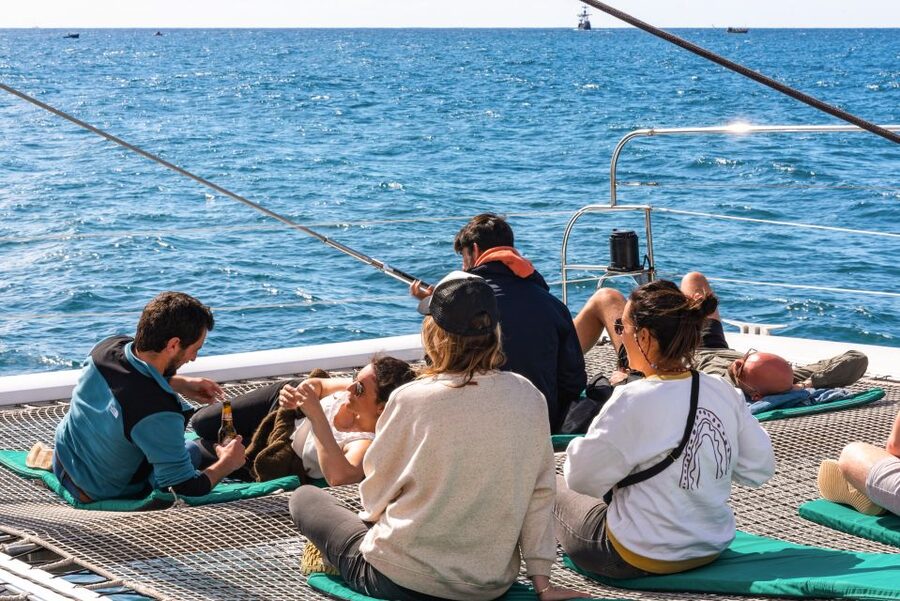From Funchal: Madeira Dolphin and Whale Watching Tour - What the $47 price includes