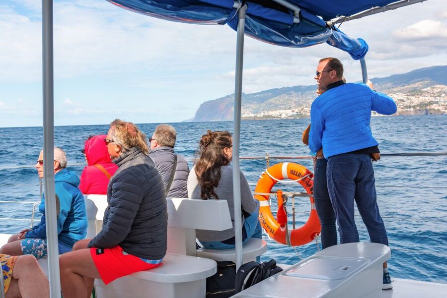 From Funchal: Madeira Dolphin and Whale Watching Tour - What to pack and how to prepare