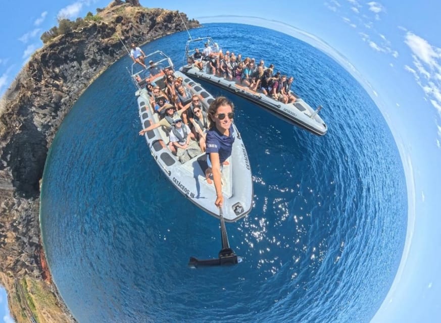 From Funchal: Whale and Dolphin Watching - The biggest issue: wind, waves, and seasickness