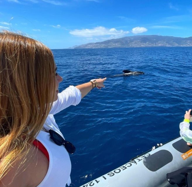 From Funchal: Whale and Dolphin Watching - Is swimming included?