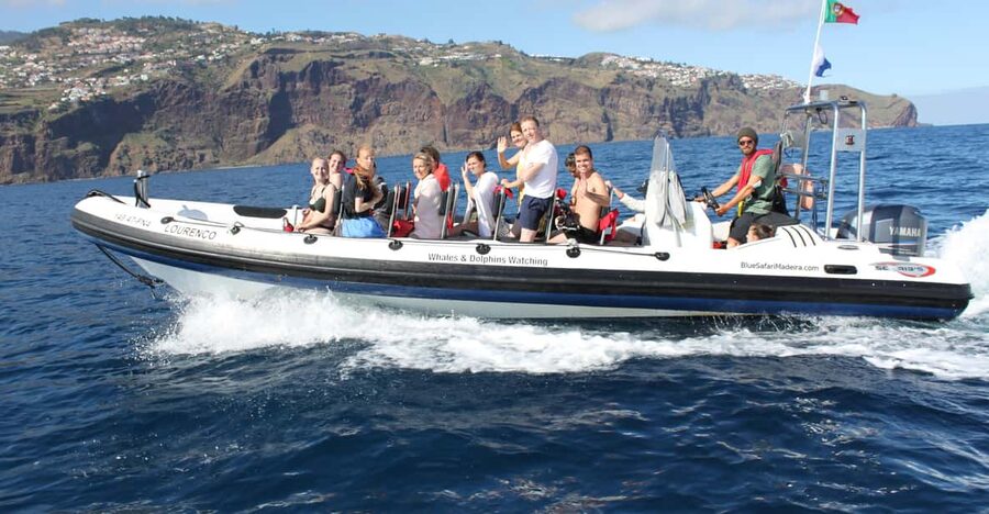 From Funchal: Whales and Dolphin Adventure Tour - A small boat that keeps the ocean in view