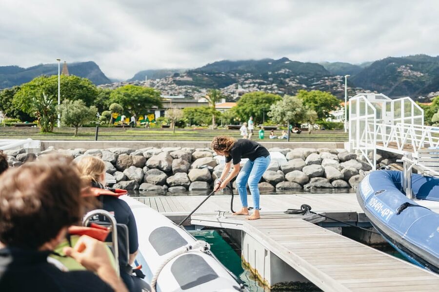From Funchal: Whales and Dolphin Adventure Tour - Searching for dolphins, whales, and smaller surprises