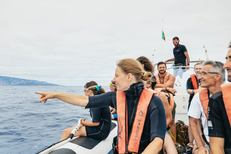 From Funchal: Whales and Dolphin Adventure Tour - The possible dolphin swim