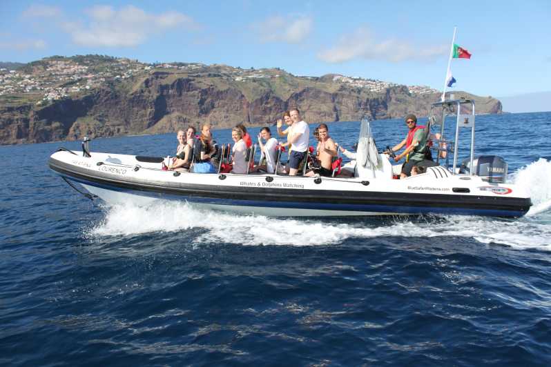 From Funchal: Whales and Dolphin Adventure Tour - Leaving Funchal Marina for open water