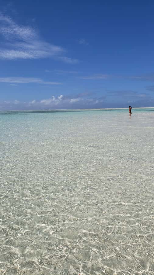 From Kendwa: Mnemba Boat Trip and Dolphin Snorkel Adventure - Why this Mnemba trip is different
