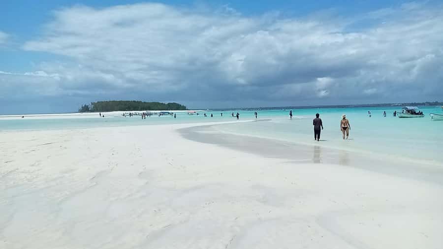 From Kendwa: Mnemba Boat Trip and Dolphin Snorkel Adventure - Sea conditions, swimming, and what to pack