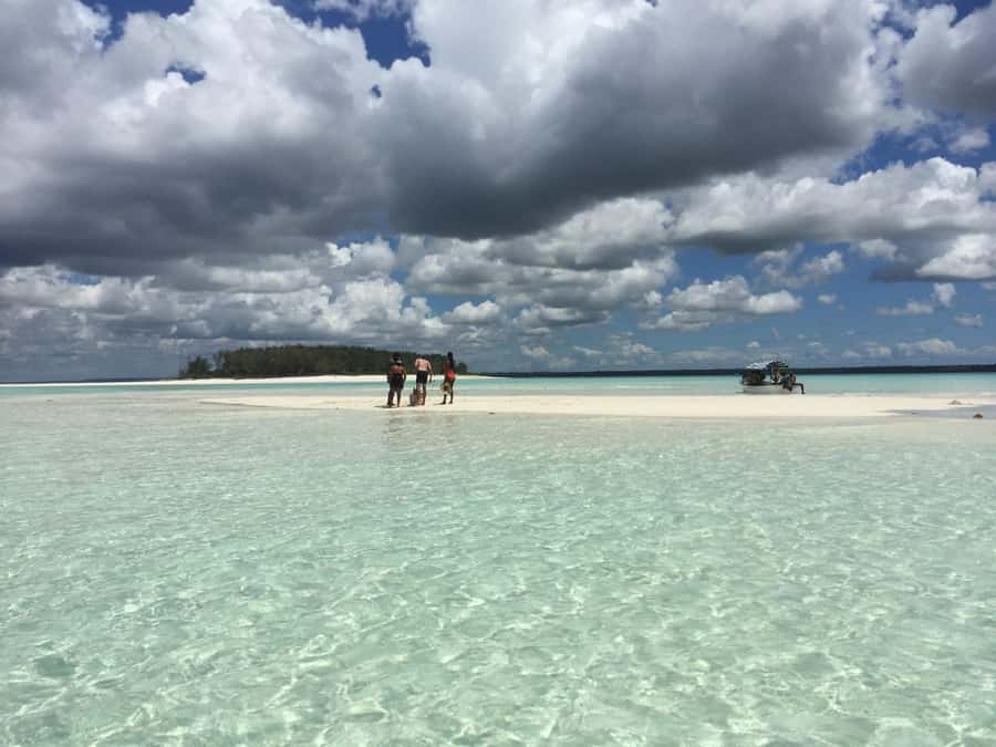 From Kendwa: Mnemba Boat Trip and Dolphin Snorkel Adventure - Who will enjoy this most