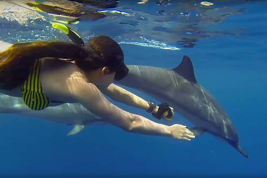 From Kendwa: Mnemba Boat Trip and Dolphin Snorkel Adventure - Starting at Mama Mia around 8:30 a.m.