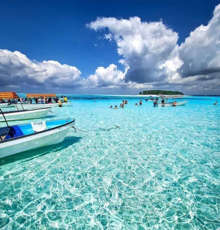 FROM KENDWA; Mnemba snorkelling and Dolphin tour - Snorkeling Near Mnemba Island