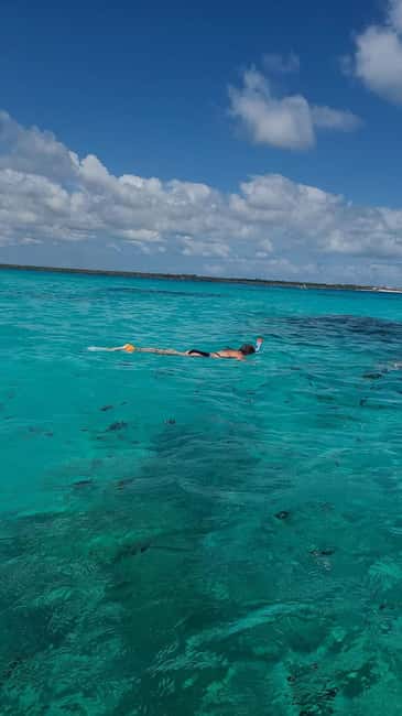 FROM KENDWA; Mnemba snorkelling and Dolphin tour - Is $45 Good Value?