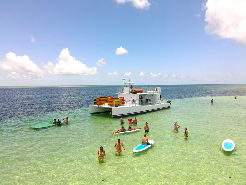 From Key West: Dolphin Watching Tour with Lunch & Drinks - Key points at a glance