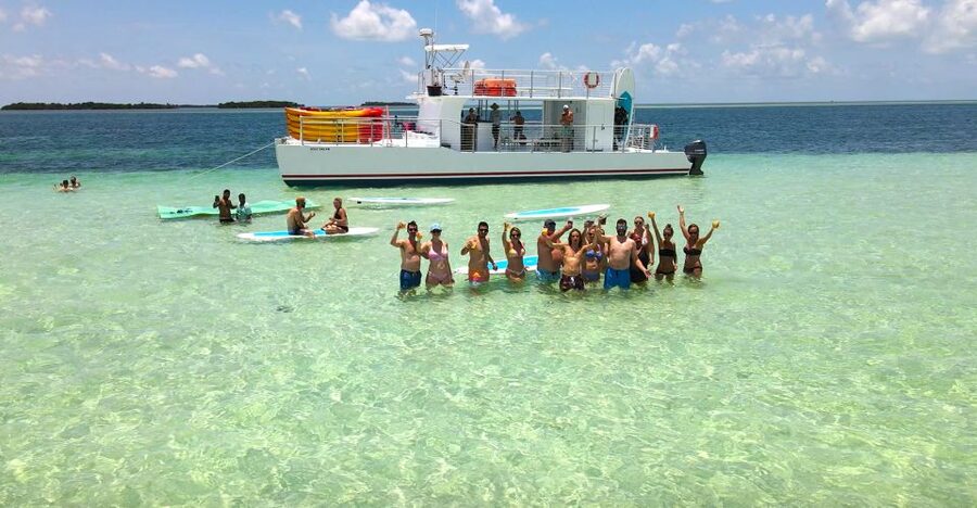 From Key West: Dolphin Watching Tour with Lunch & Drinks - Why this Key West cruise works as a half-day plan