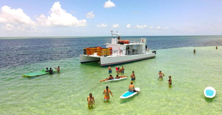 From Key West: Dolphin Watching Tour with Lunch & Drinks - The sandbar stop is the relaxed center of the day