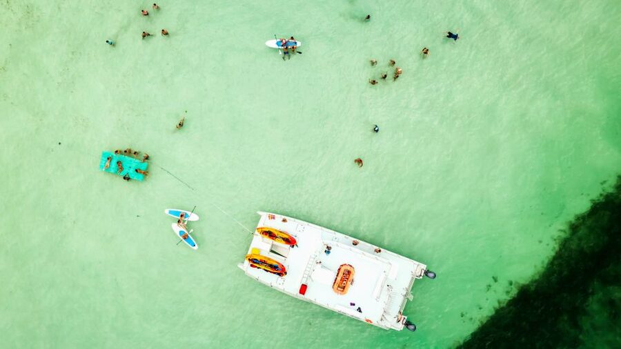 From Key West: Dolphin Watching Tour with Lunch & Drinks - What the crew adds to the experience