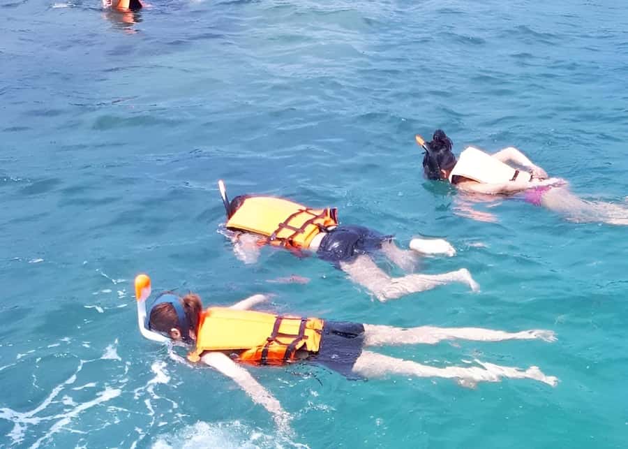 From Koh Samui: Pink Dolphin Boat Tour to Khanom with Lunch - Key points at a glance