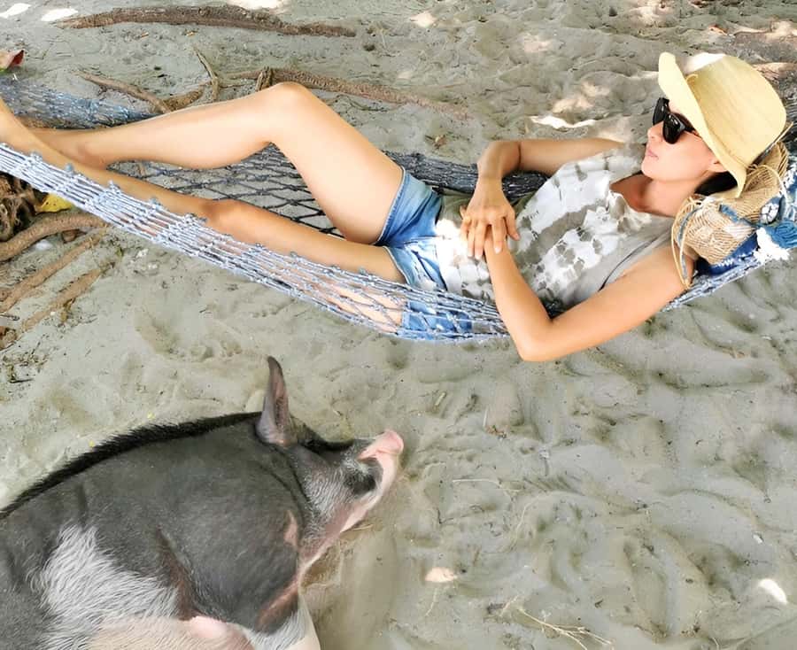 From Koh Samui: Pink Dolphin Boat Tour to Khanom with Lunch - Returning to Koh Samui by 2:45 p.m.