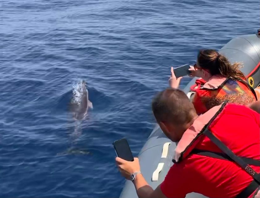 From Lagoa: Dolphins & Ponta da Piedade with biologist guide - Key points at a glance