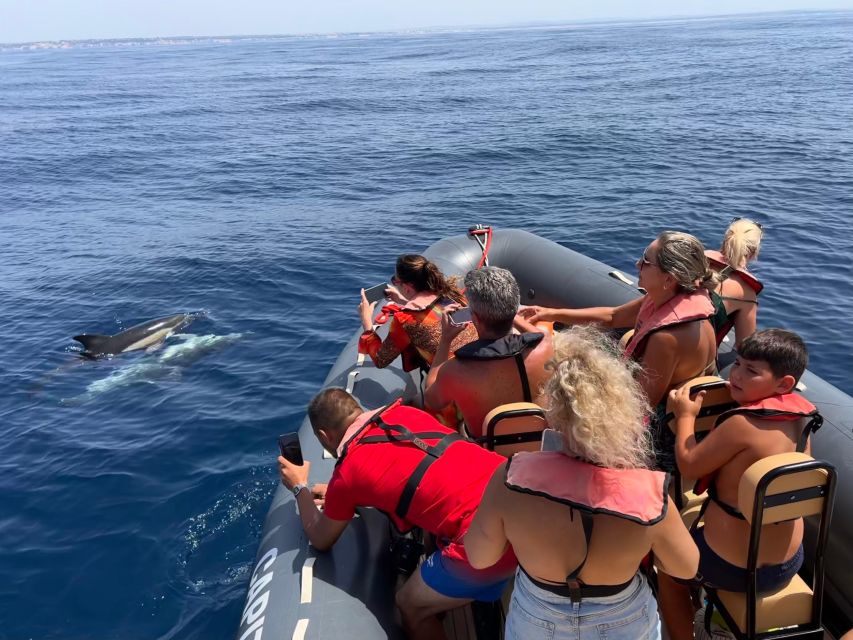 From Lagoa: Dolphins & Ponta da Piedade with biologist guide - What to bring for a comfortable outing