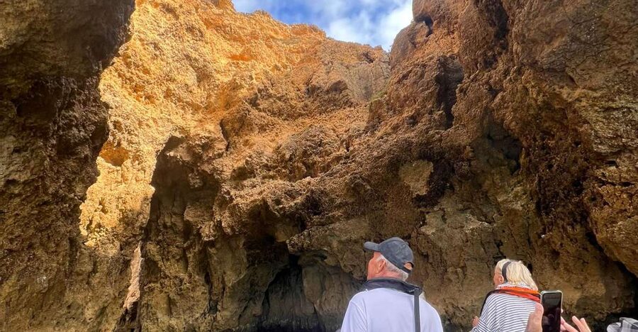 From Lagoa: Dolphins & Ponta da Piedade with biologist guide - The optional 15-minute swim