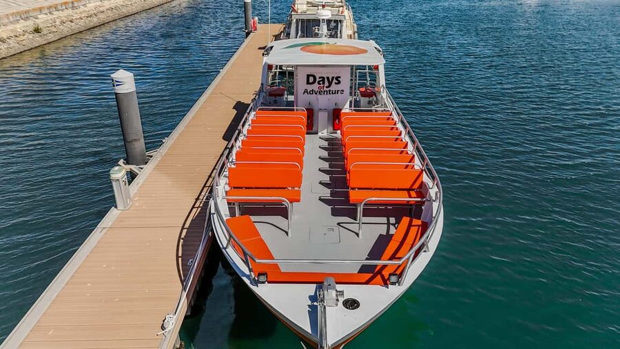 FROM LAGOS: BENAGIL AND DOLPHIN WATCHING - JETBOAT - Who should book this Algarve boat trip?