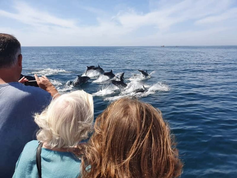 From Lagos: Dolphin Watching Catamaran Cruise - The possible swim stop near Benagil