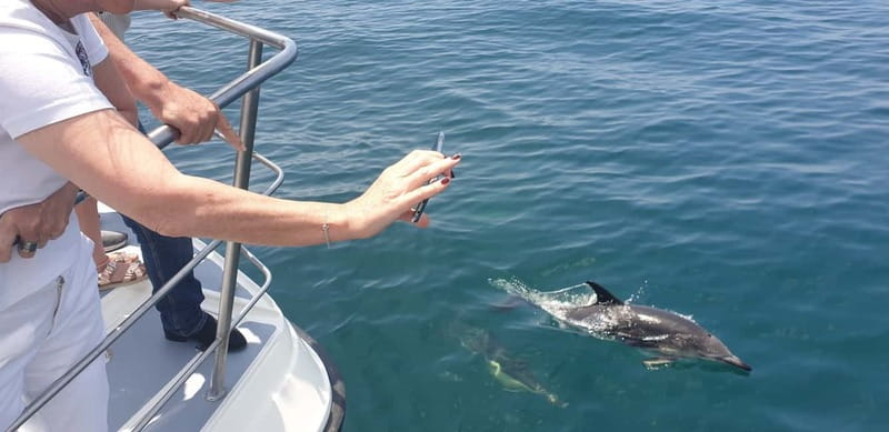From Lagos: Dolphin Watching Catamaran Cruise - Why families may find the boat easy to manage