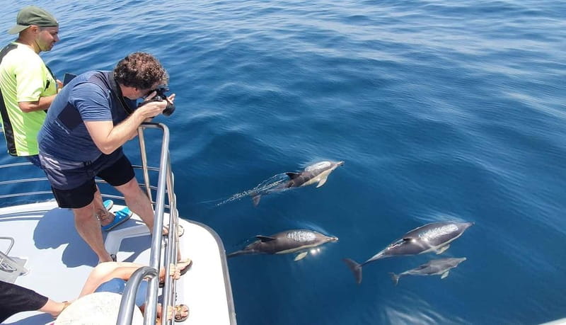 From Lagos: Dolphin Watching Catamaran Cruise - What the $47 price includes