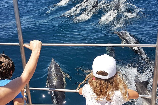 From Lagos: Dolphin Watching Cruise on a Catamaran - Leaving Marina de Lagos for the Atlantic