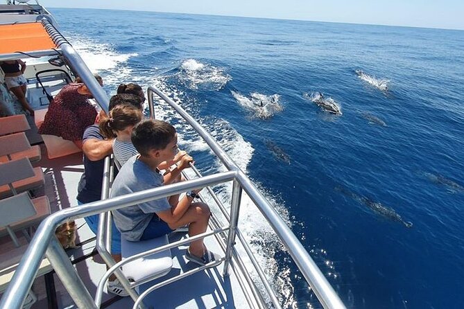 From Lagos: Dolphin Watching Cruise on a Catamaran - The return route and possible cave views