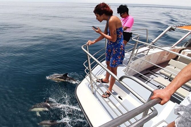 From Lagos: Dolphin Watching Cruise on a Catamaran - How accessible and family-friendly is it?