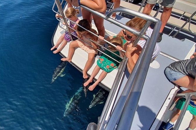From Lagos: Dolphin Watching Cruise on a Catamaran - The crew, commentary, and onboard comfort
