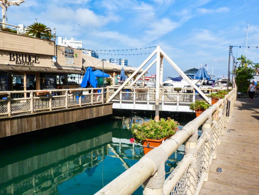 From Malaga: Day trip to Gibraltar and Dolphin Boat Tour - Should you book the Malaga to Gibraltar dolphin tour?