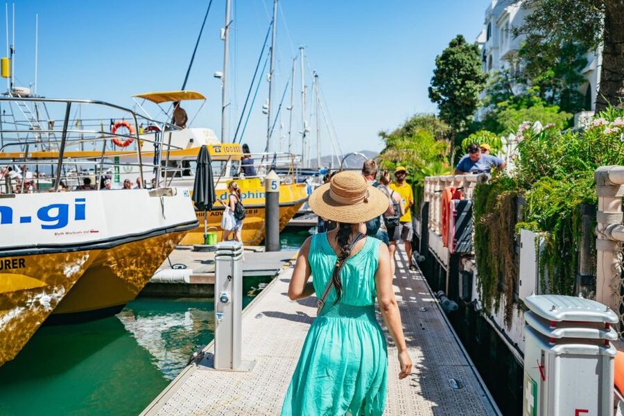 From Malaga: Day trip to Gibraltar and Dolphin Boat Tour - Lunch and the British side of Gibraltar