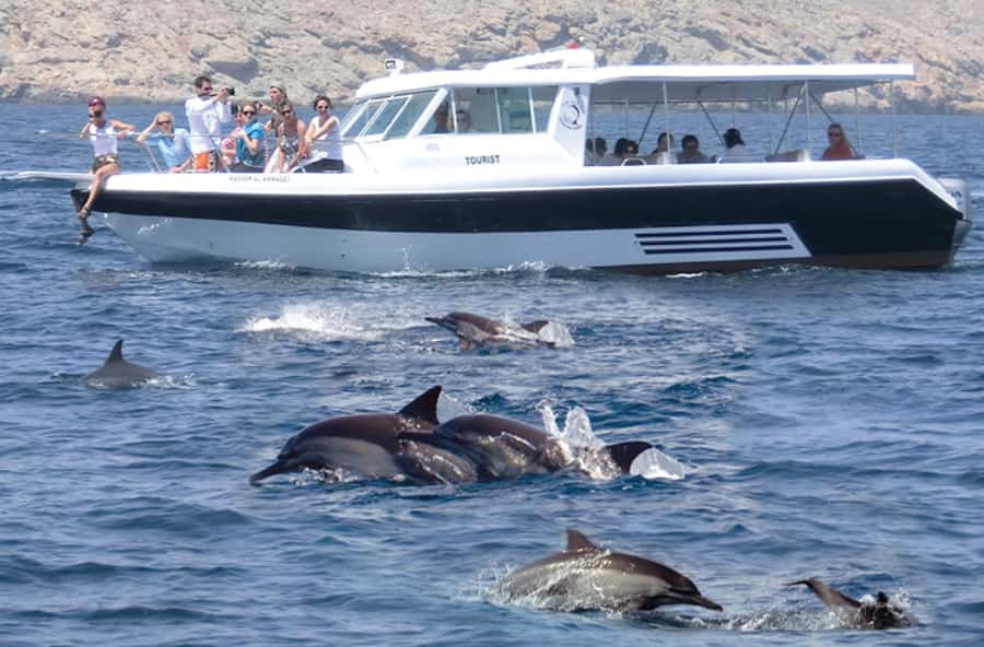 From Muscat: Discover Dolphins Day Trip - Meeting at Marina Bandar Al Rawdha