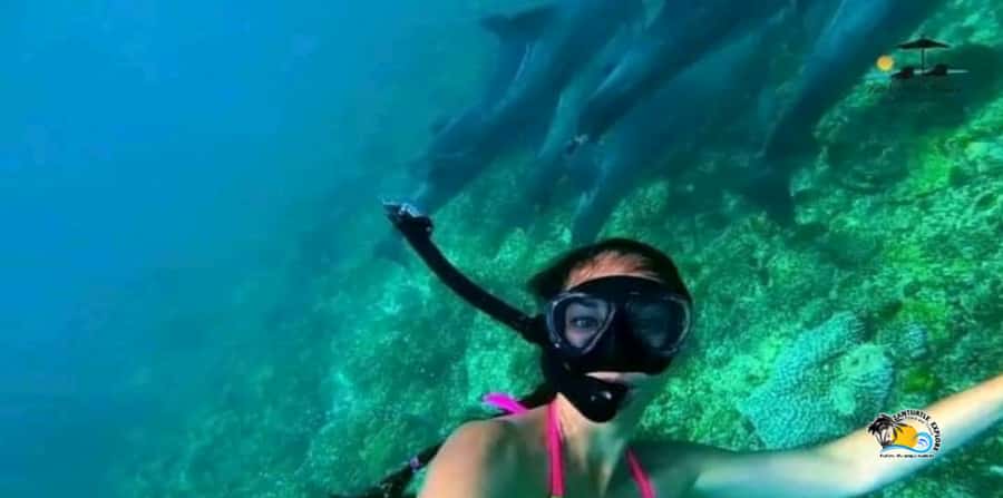From Nungwi/Kendwa: Mnemba Atoll Starfishes & Dolphins Tour - What the $54 price really covers