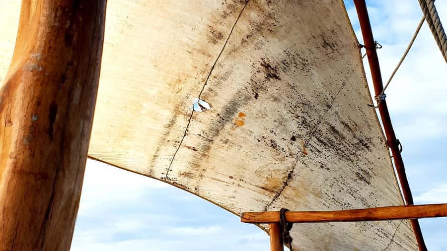 From Nungwi : Mnemba Boat Trip and Dolphin Snorkel Adventure - Looking for dolphins in open water