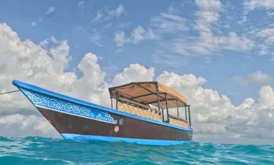 FROM NUNGWI; MNEMBA SNORKELING AND DOLPHIN TOUR - The sandbank stop and fresh fruit break