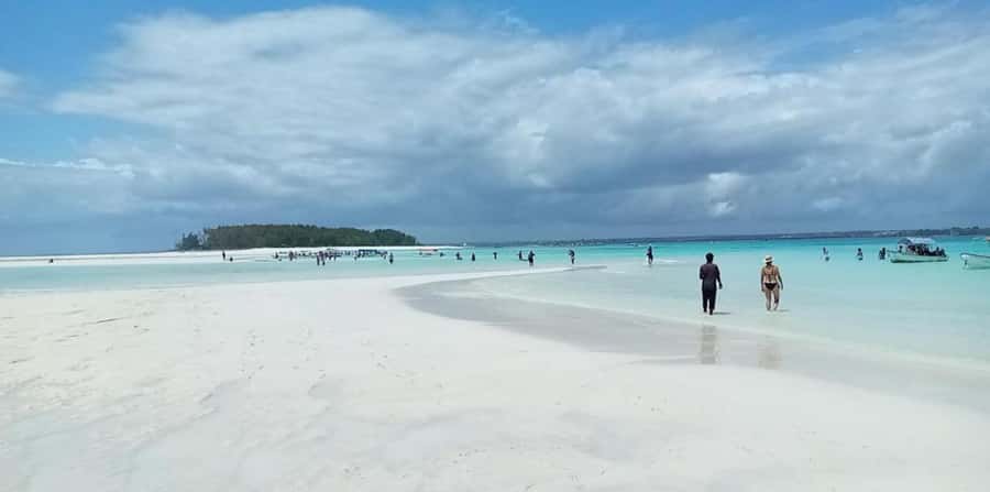 FROM NUNGWI; MNEMBA SNORKELING AND DOLPHIN TOUR - Who will get the most from this Mnemba trip