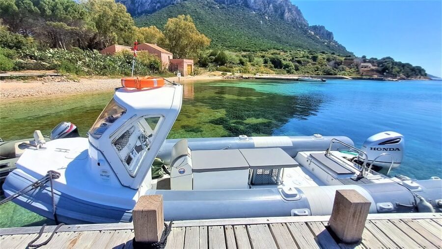 From Olbia: RIB Tour to Capo Figari with Dolphin Sighting - Who should book this tour