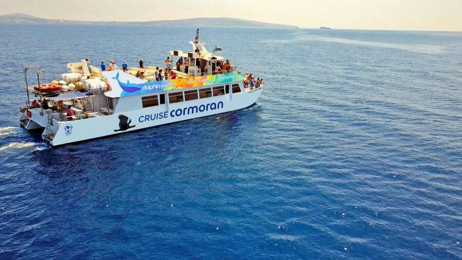 From Paguera: Dolphin Watching Cruise in a Glass-Bottom Boat - Choosing the shorter or longer cruise
