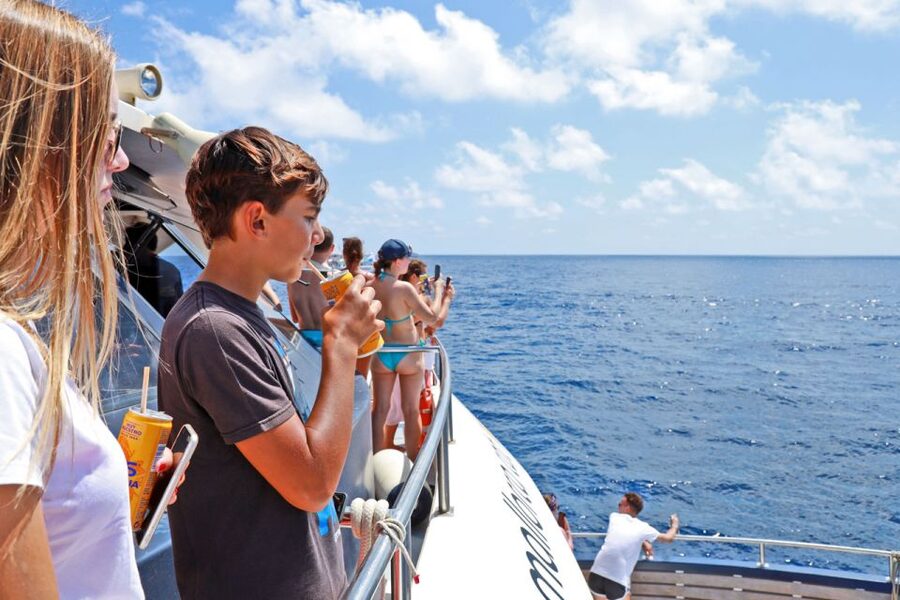 From Paguera: Dolphin Watching Cruise in a Glass-Bottom Boat - Food, drinks, music, and the onboard mood