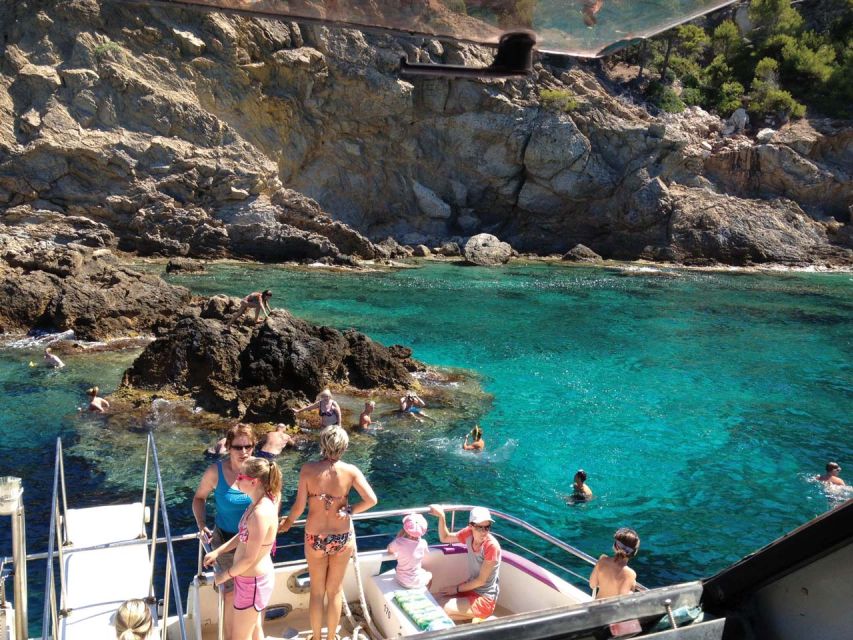 From Palma: 3-Hour Morning Dolphin Watching Boat Tour - Leaving Palma aboard the Carpe Diem at 10:30
