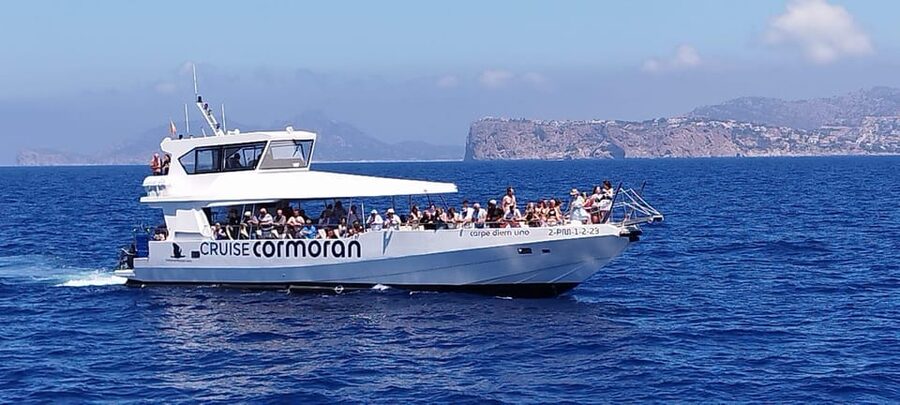 From Palma: 3-Hour Morning Dolphin Watching Boat Tour - What the $63 price really covers