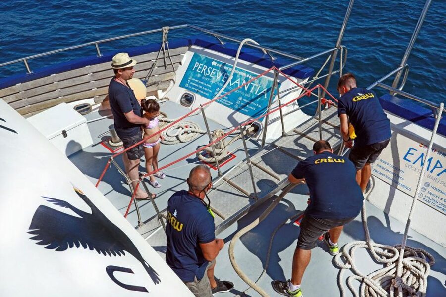 From Palma: 3-Hour Morning Dolphin Watching Boat Tour - Who should book this boat trip?