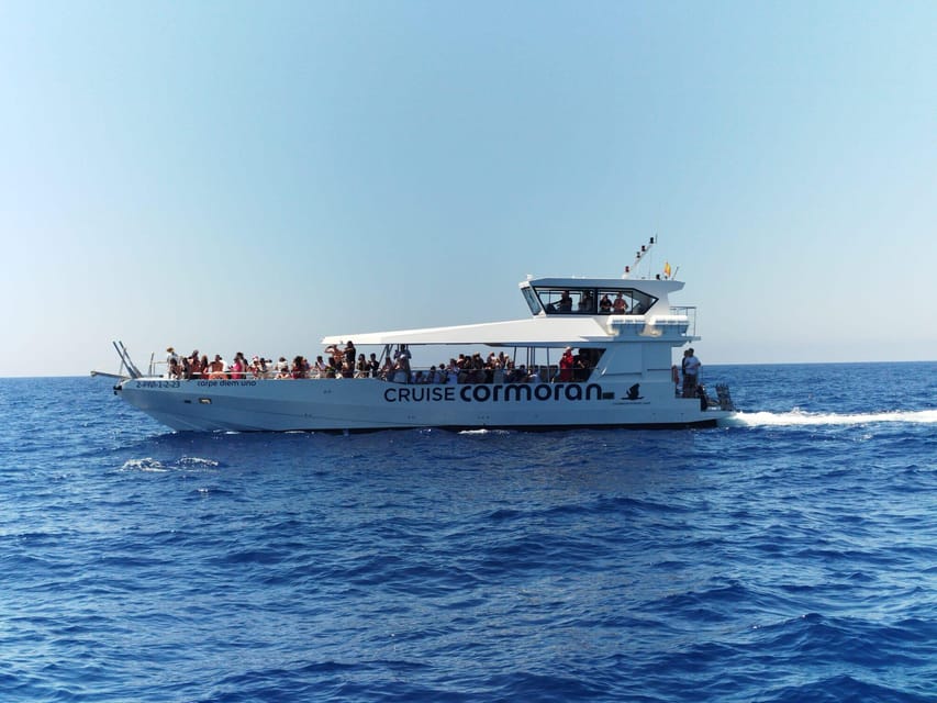 From Palma: 3-Hour Morning Dolphin Watching Boat Tour - The long search for dolphins